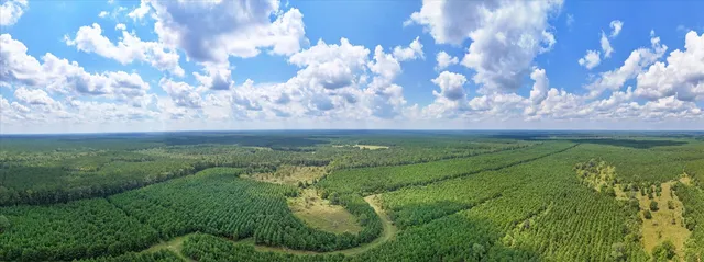 a view of a big yard