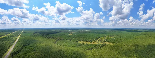 a view of field with grass and trees