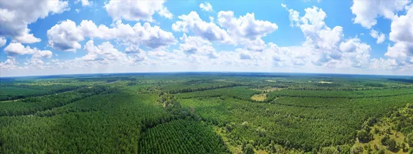 $600,000 | 20563 Ghost Rd Scenic Drive, Saratoga, TX 77585