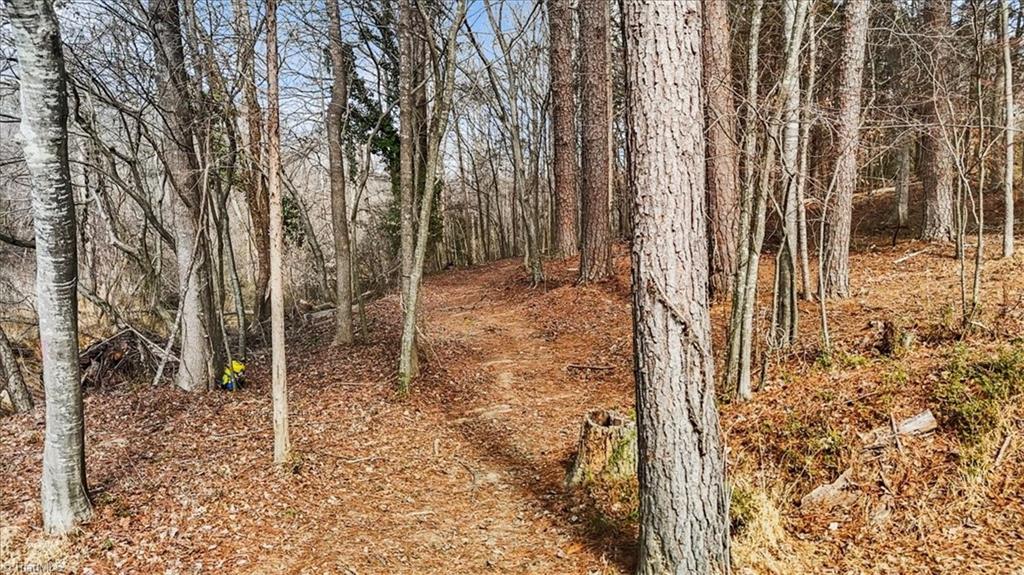 4509 Randleman Lake Road Randleman, NC 27317 - Photo 49 of 50