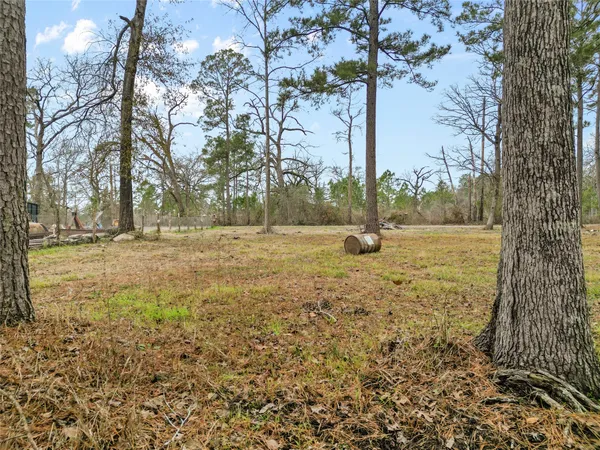 a view of yard with tree