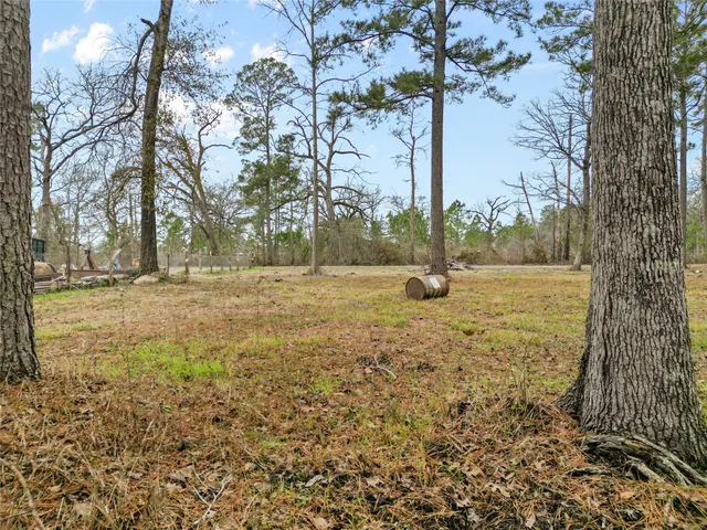 a view of yard with tree