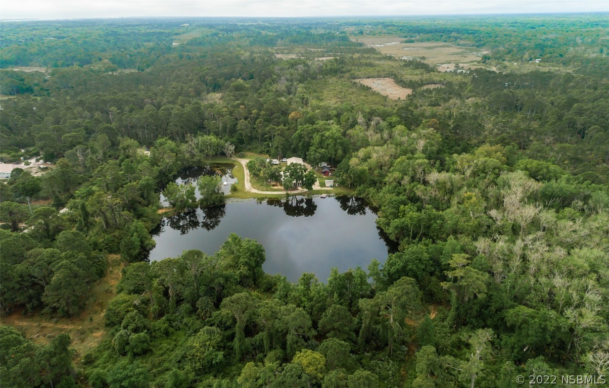 4268 Clinton Cemetery Road Edgewater, FL 32141 - Photo 8 of 50 Gallery Image 8