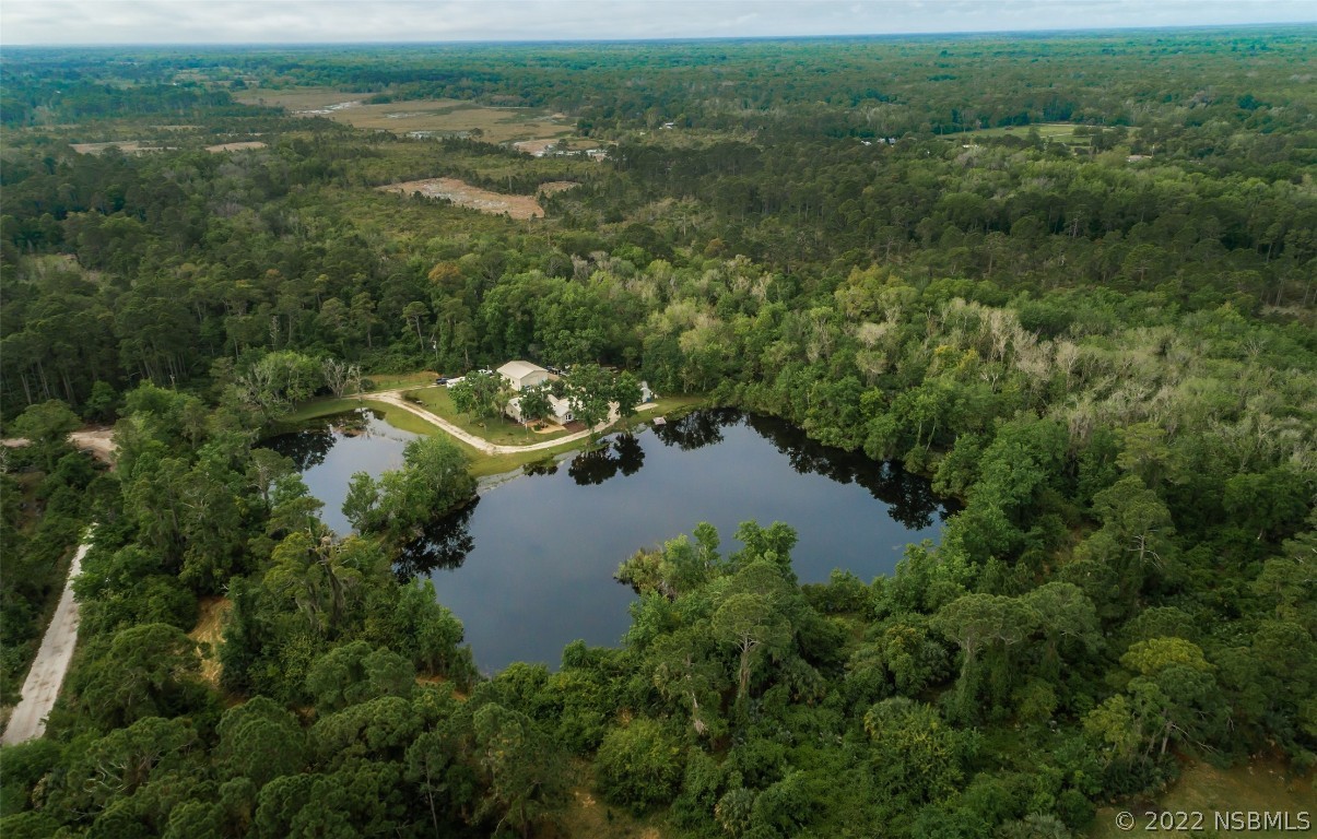 4268 Clinton Cemetery Road Edgewater, FL 32141 - Photo 9 of 50 Gallery Image 9
