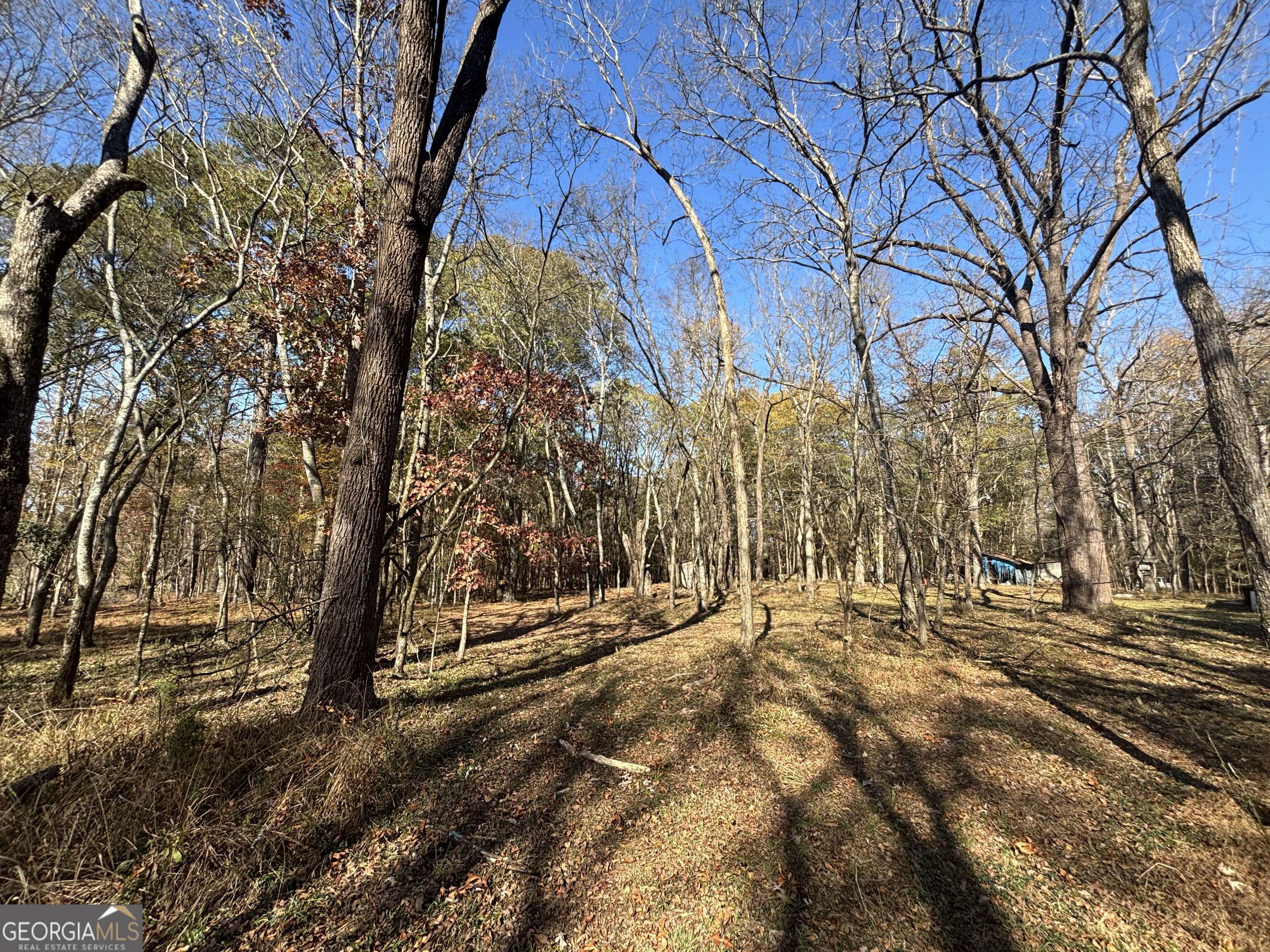 0 Oconee Road, Unit LOT 5 Buckhead, GA 30625 - Photo 11 of 18 Gallery Image 11