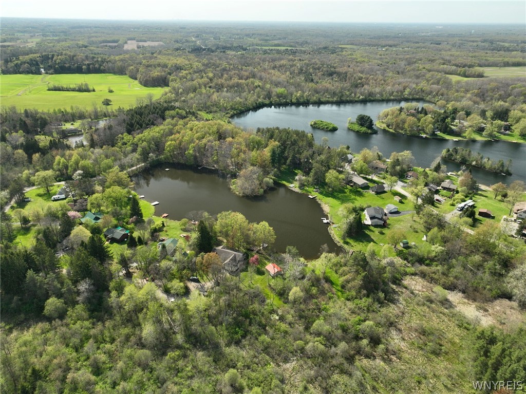 86 Little Lake Road Alden, NY 14004 - Photo 5 of 41