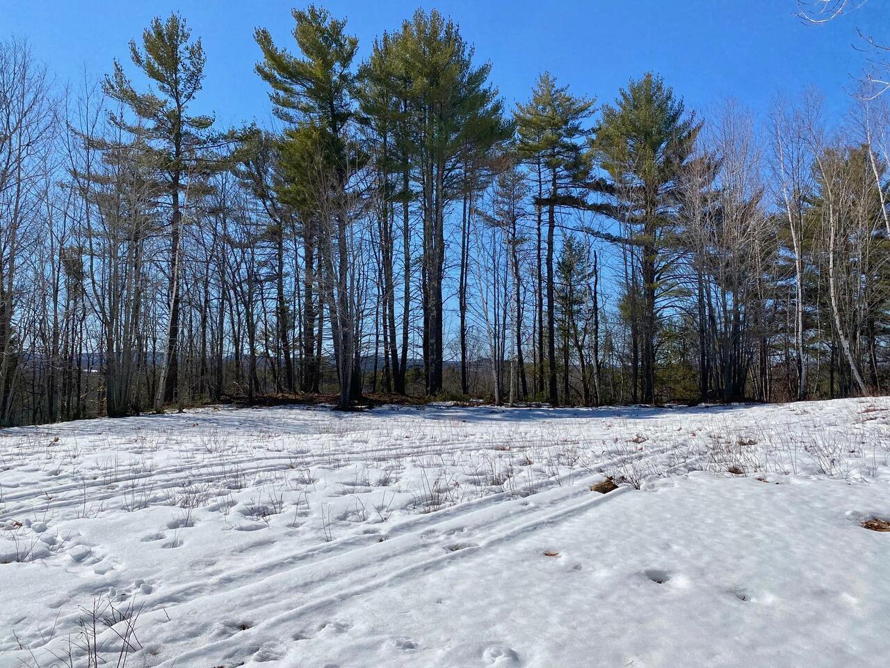 0 Durgintown Road Hiram, ME 04041 - Photo 10 of 22 Hiram 7