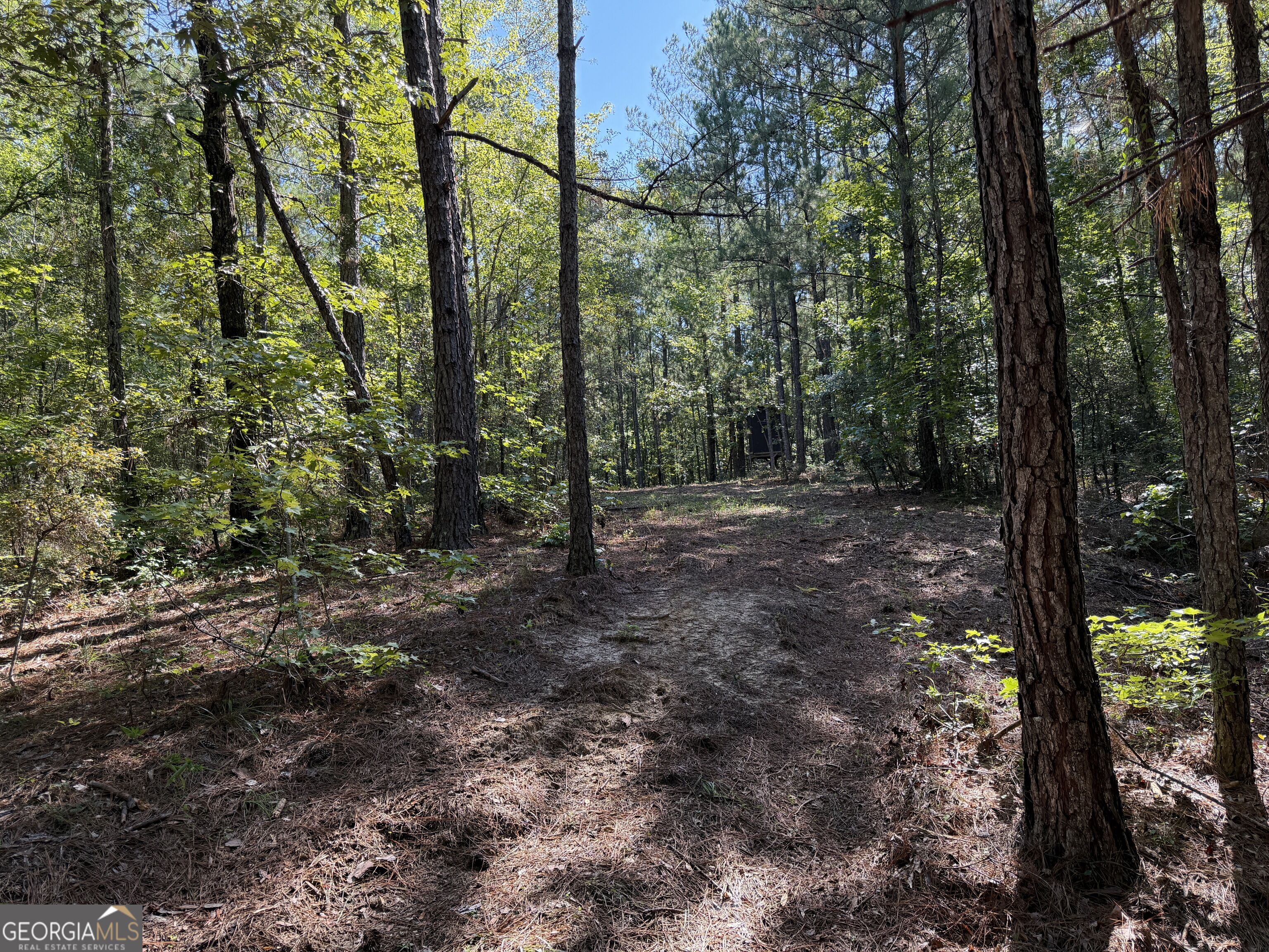 0 Pig Road Bartow, GA 30413 - Photo 31 of 44 Gallery Image 31
