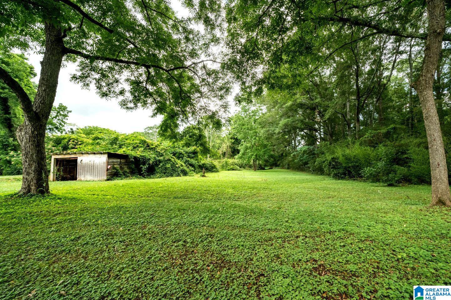 59524 Highway 49 Lineville, AL 36266 - Photo 6 of 29