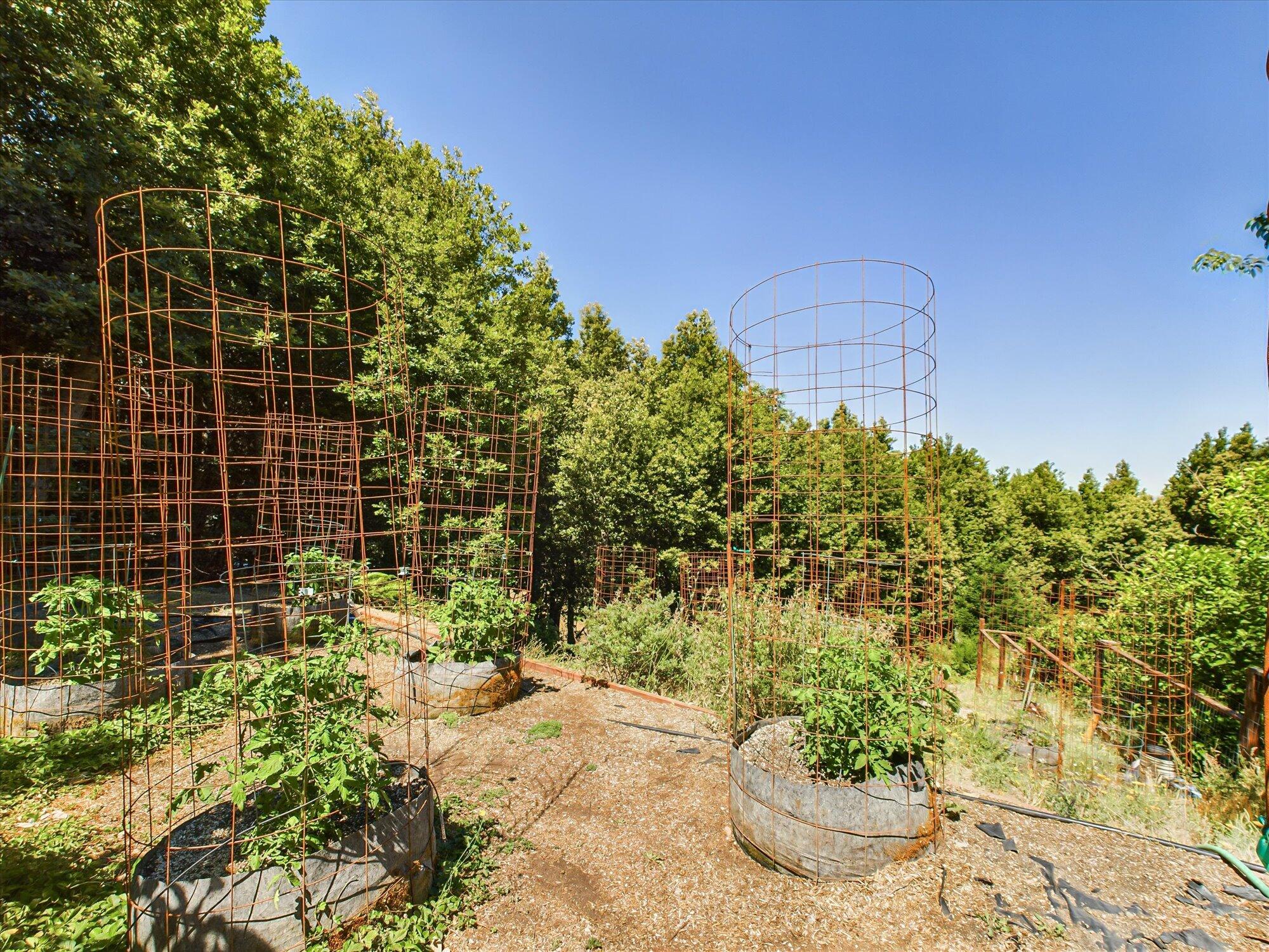 299 Cook Road Shelter Cove, CA 95589 - Photo 63 of 73 63-299 Cook Road Shelter Cove-160