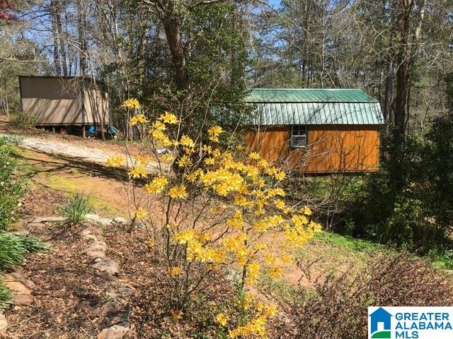36 River Run Circle Lineville, AL 36266 - Photo 30 of 31