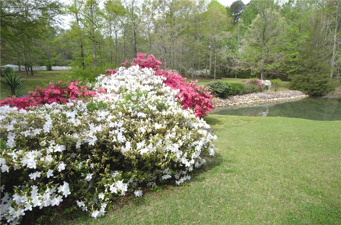 3519 Anderson Road Opelika, AL 36801 - Photo 50 of 50 Gallery Image 50