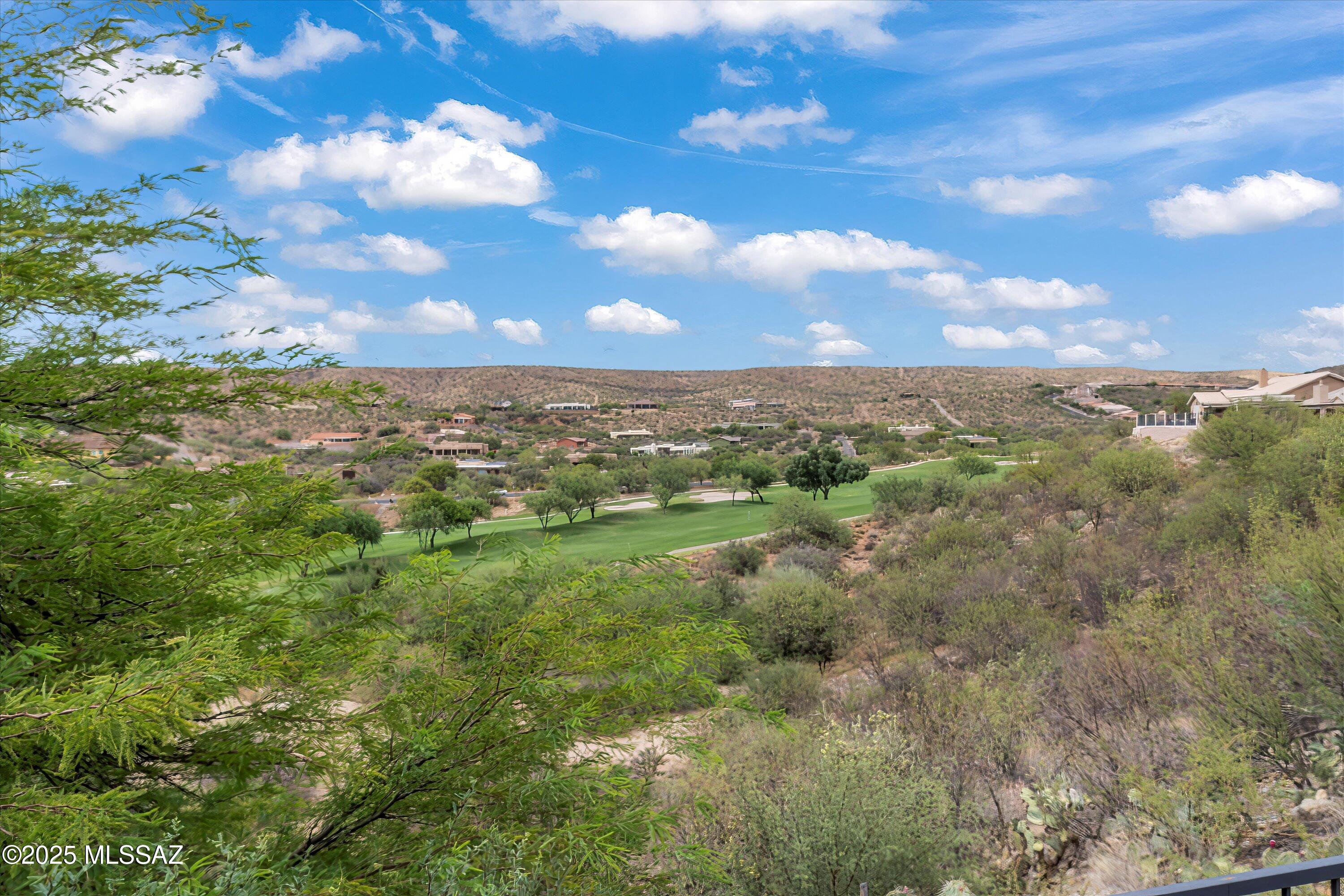 37286 South Copper Ridge Court Tucson, AZ 85739 - Photo 46 of 49
