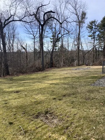 a view of large trees and basketball court