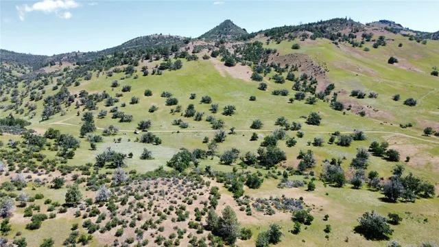 view of a field with a mountain in the background