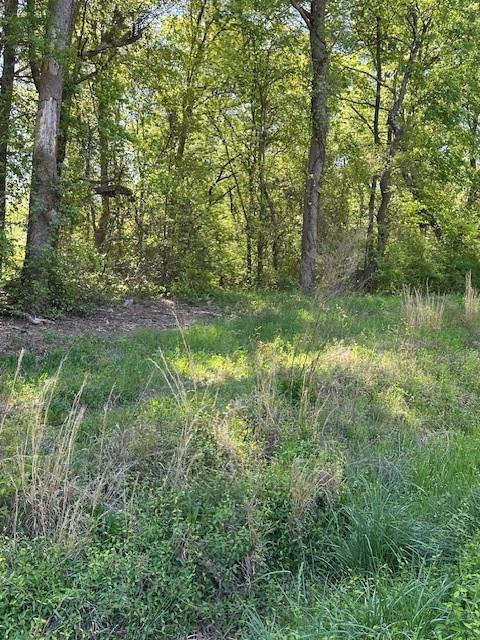 815 A J Irvin Road Talmo, GA 30567 - Photo 1 of 7