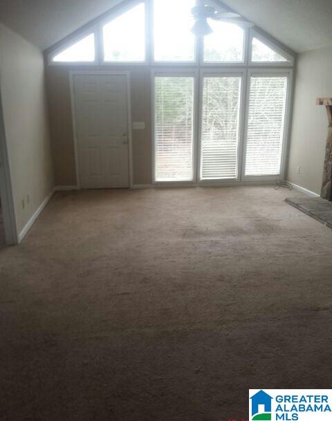 4705 Cook Springs Road Pell City, AL 35125 - Photo 20 of 20