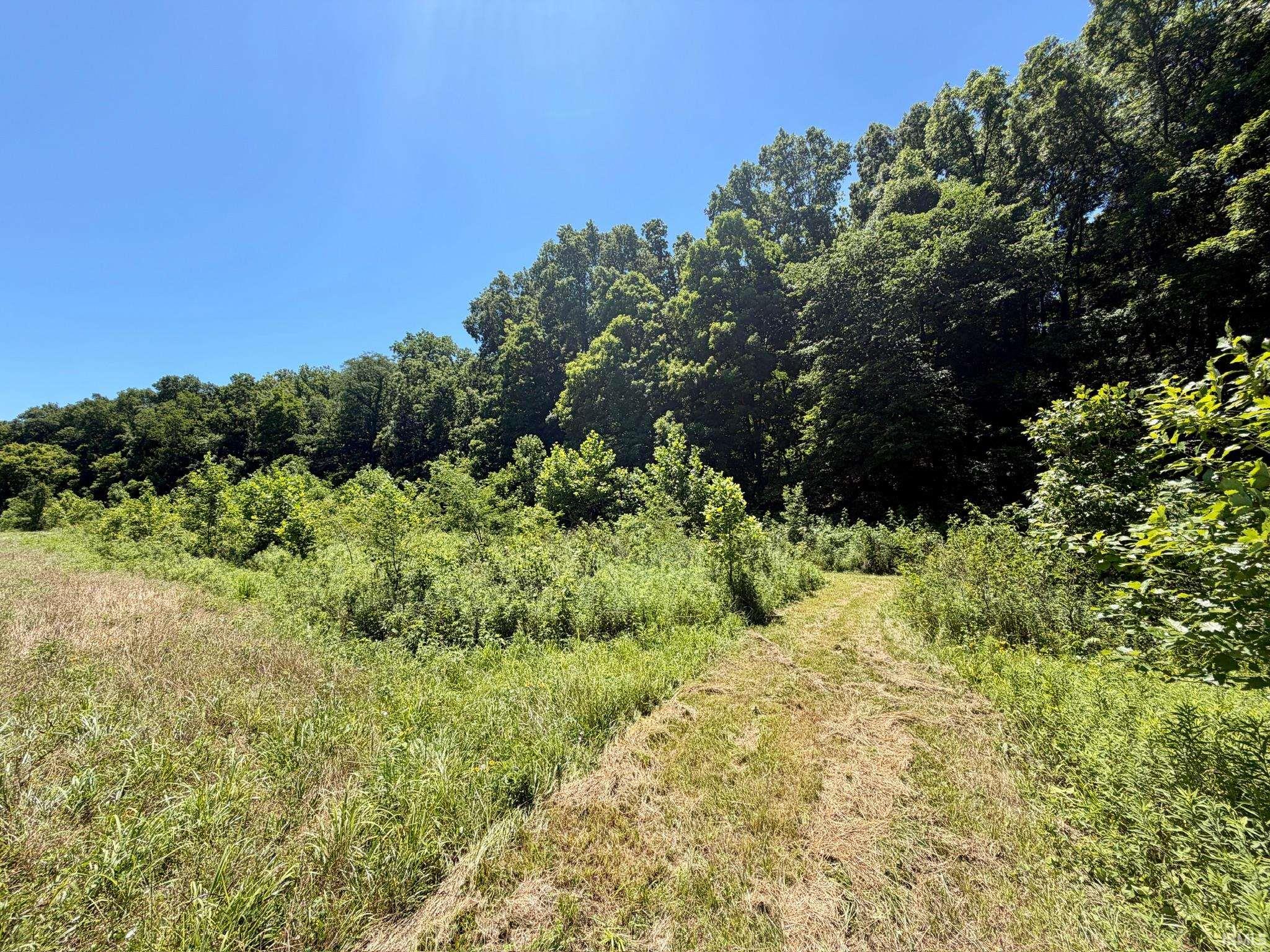 Tbd Newark Road Solsberry, IN 47459 - Photo 20 of 28
