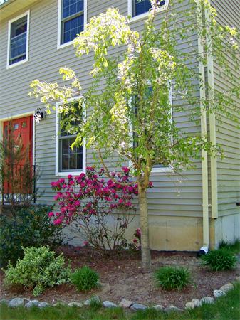 36 Coffey Hill Road Ware, MA 01082 - Photo 3 of 28