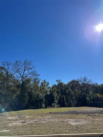 a view of a yard