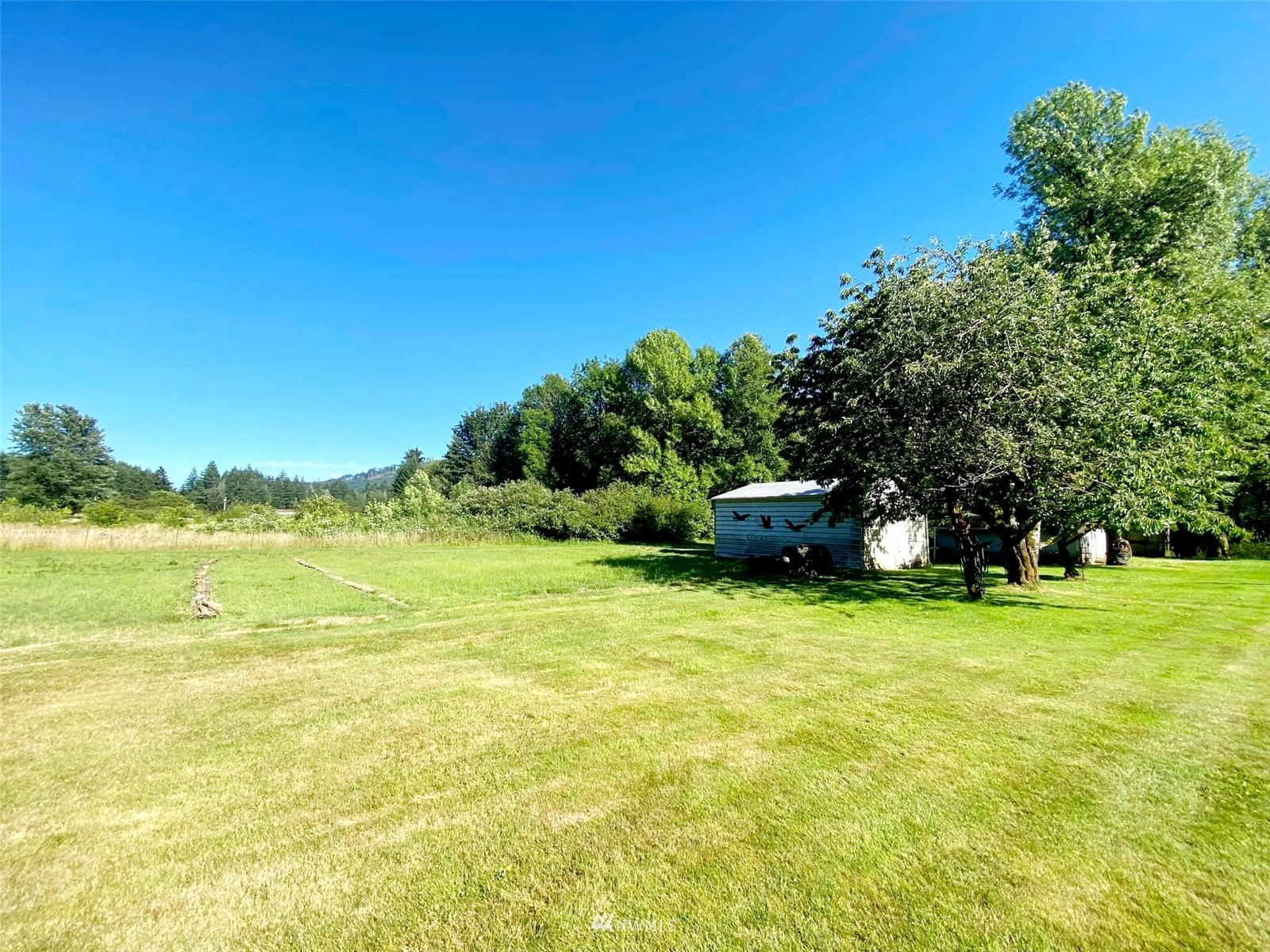 274 East Mox Chehalis Road McCleary, WA 98557 - Photo 11 of 36 Gallery Image 11