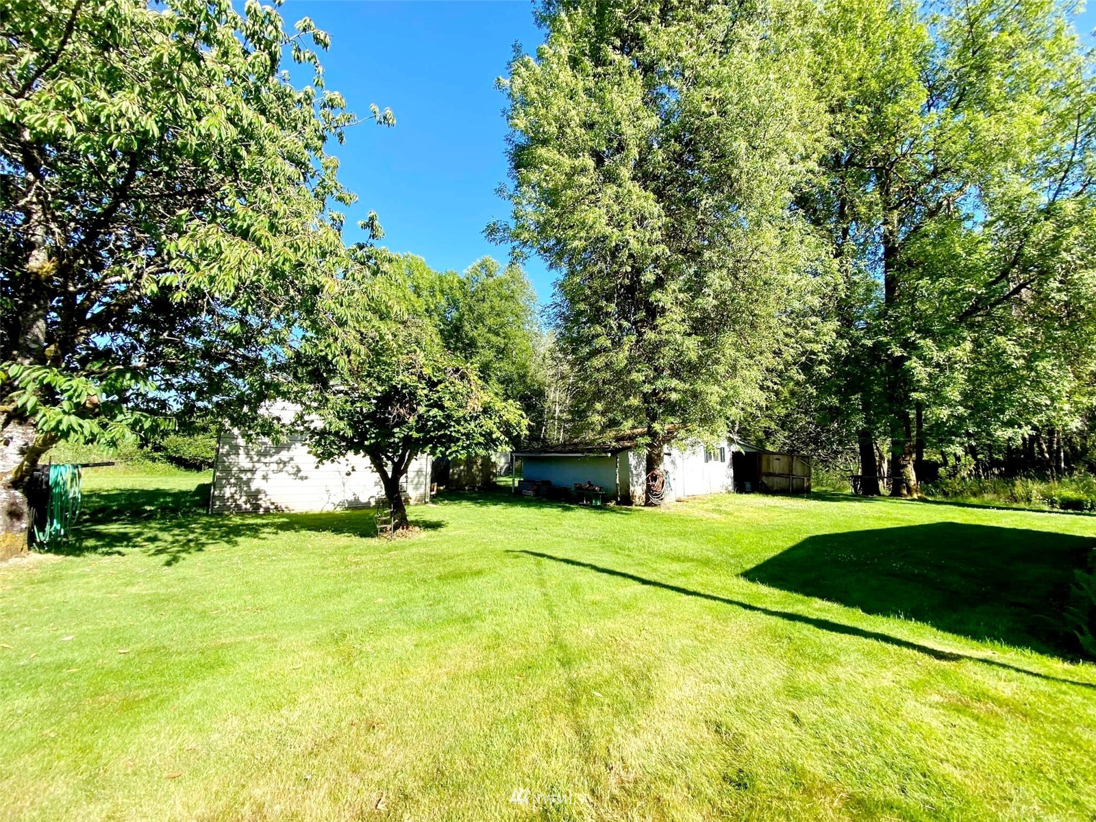 274 East Mox Chehalis Road McCleary, WA 98557 - Photo 12 of 36 Gallery Image 12