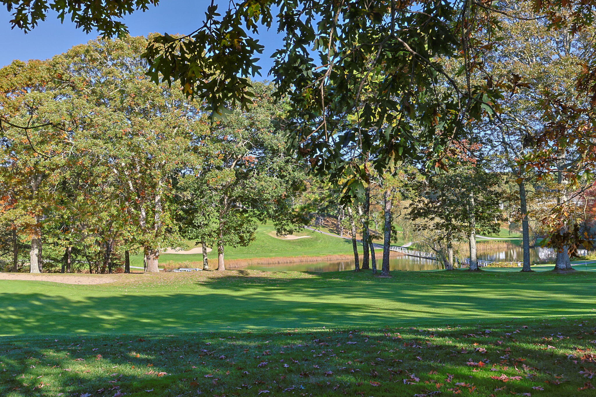 21 Green Way South Yarmouth, MA 02664 - Photo 36 of 42 a view of green field
