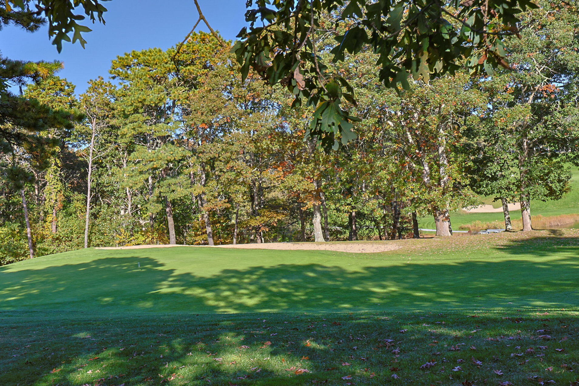 21 Green Way South Yarmouth, MA 02664 - Photo 37 of 42 a view of grassy field with trees