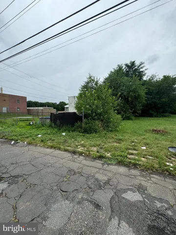 a view of a yard with potted plants and large trees