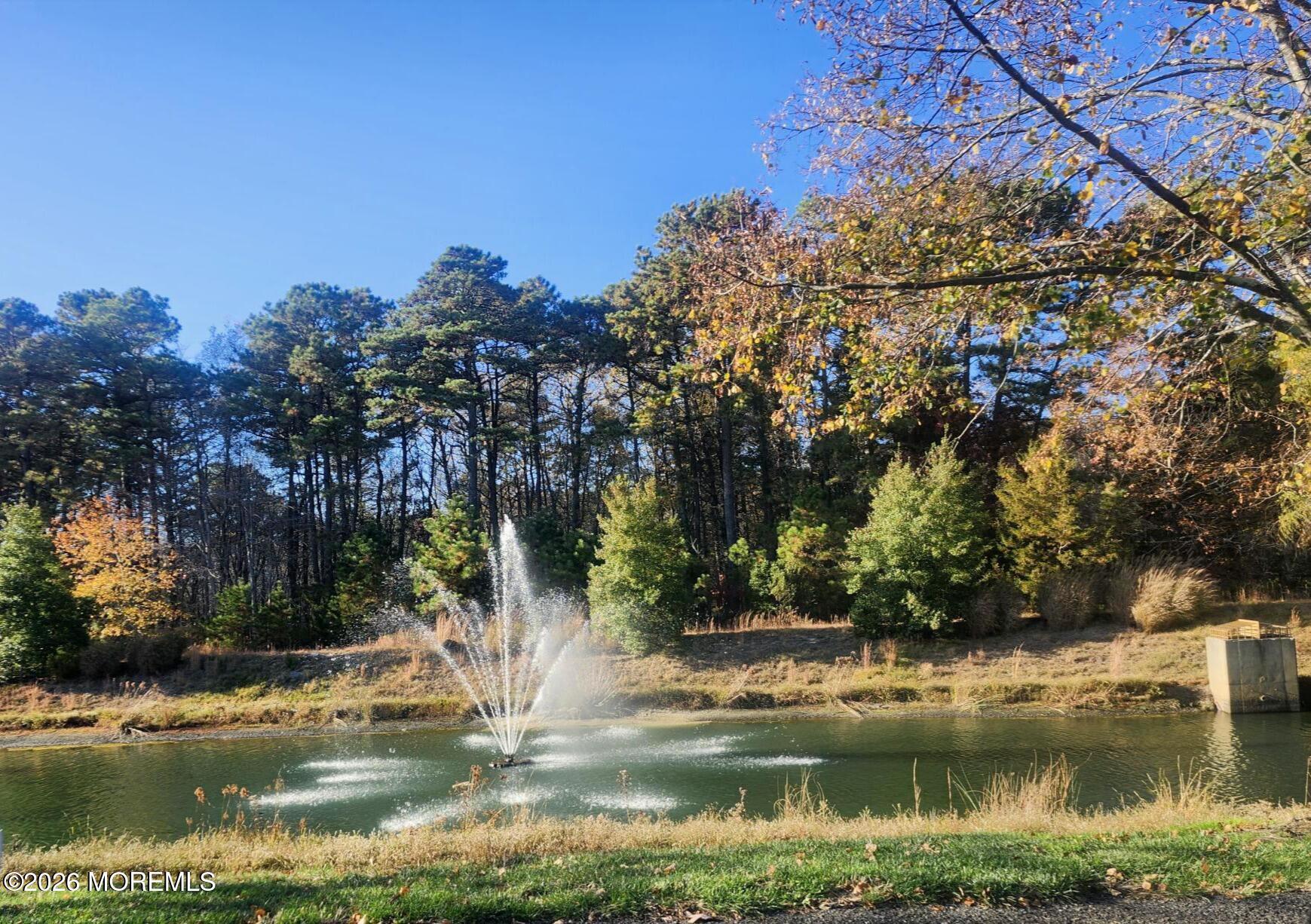 46 Pancoast Road Waretown, NJ 08758 - Photo 39 of 55 GOLF COURSE POND