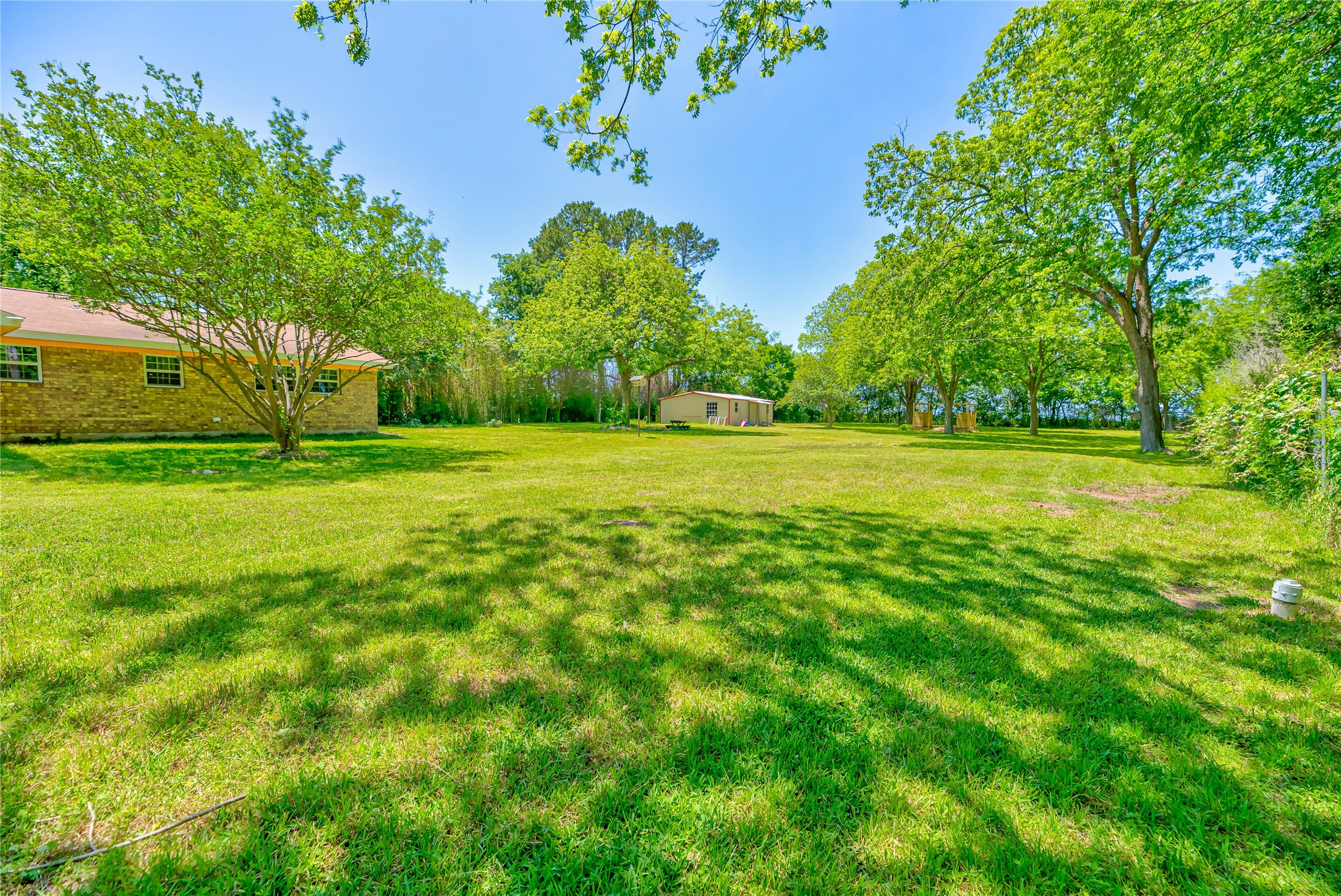 3003 Paul Knox Street Huntsville, TX 77320 - Photo 31 of 46 a view of a golf course with a trees