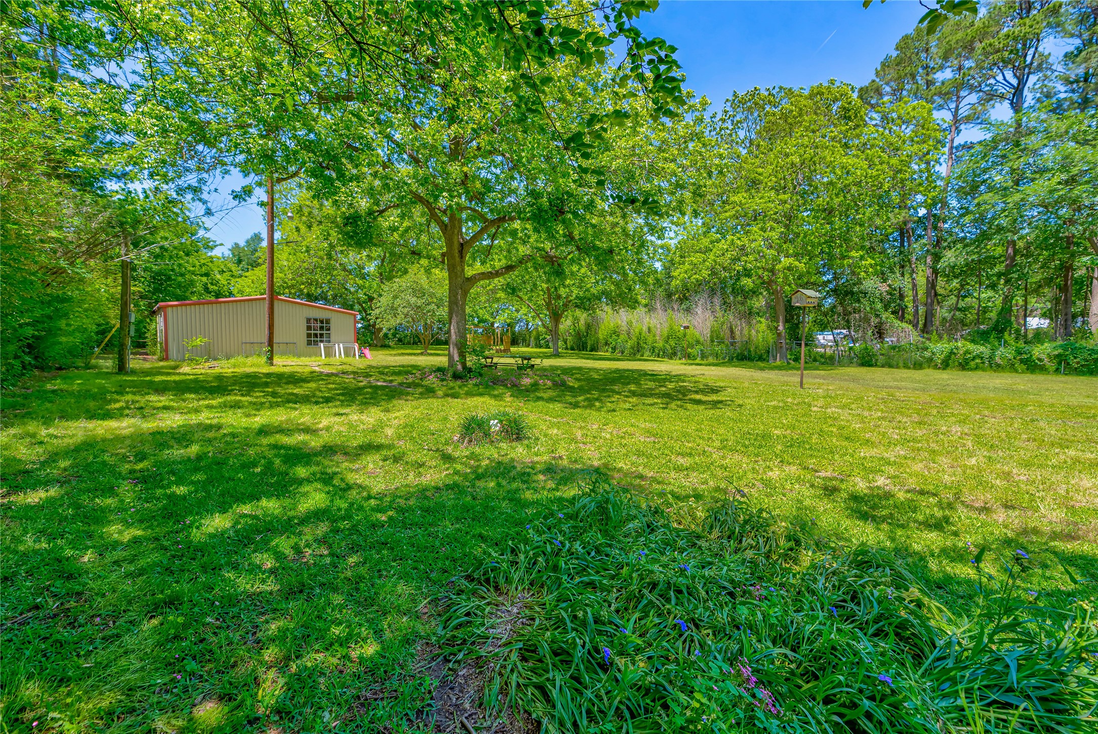 3003 Paul Knox Street Huntsville, TX 77320 - Photo 32 of 46 a view of a park with a tree