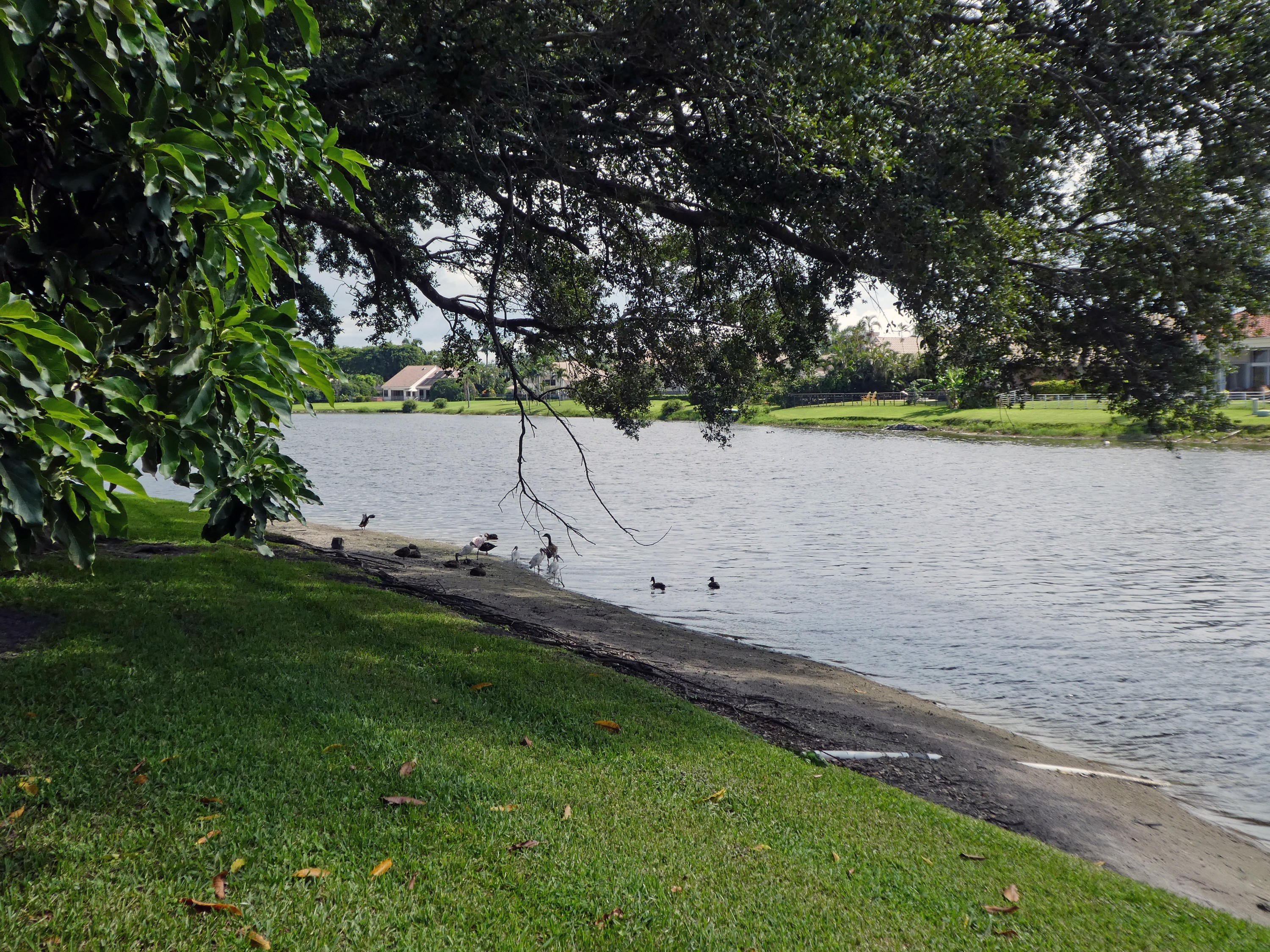 17331 Springtree Lane Boca Raton, FL 33487 - Photo 43 of 60 Lake Beach Views