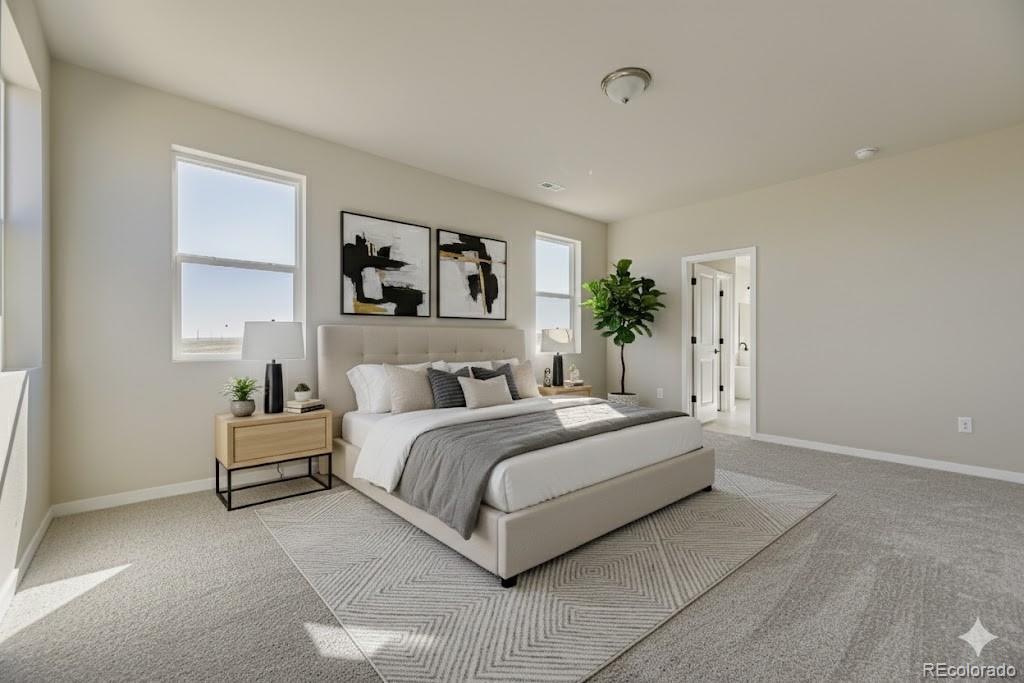 42956 Colonial Trail Elizabeth, CO 80107 - Photo 12 of 20