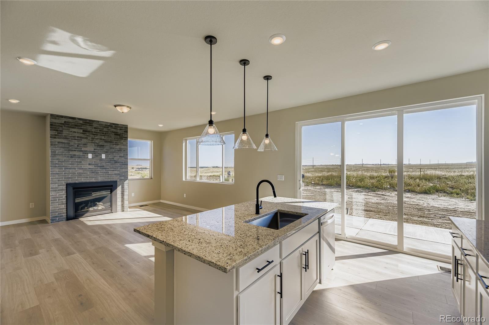 42956 Colonial Trail Elizabeth, CO 80107 - Photo 5 of 20