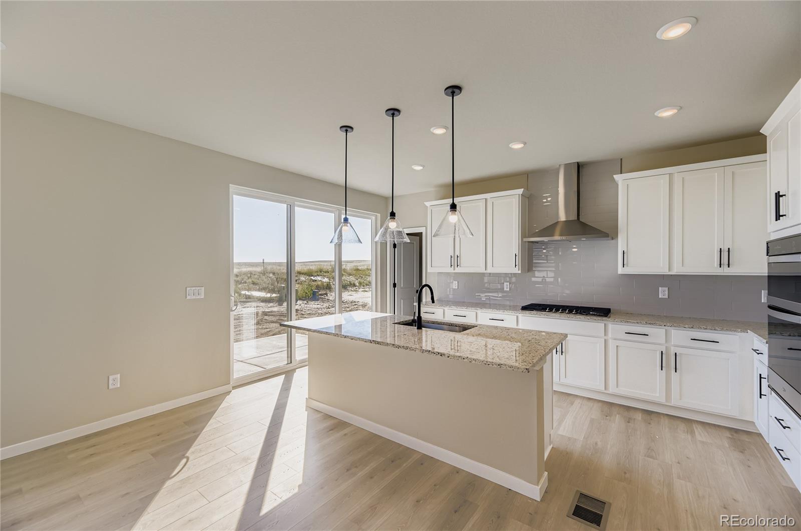 42956 Colonial Trail Elizabeth, CO 80107 - Photo 10 of 20