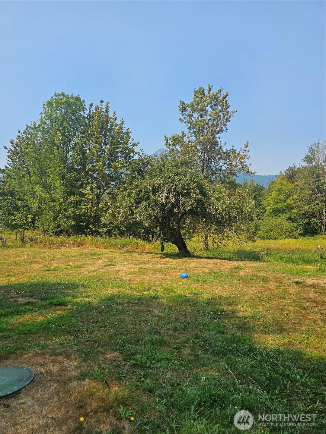 1077 Cline Road Randle, WA 98377 - Photo 10 of 23 Gallery Image 10