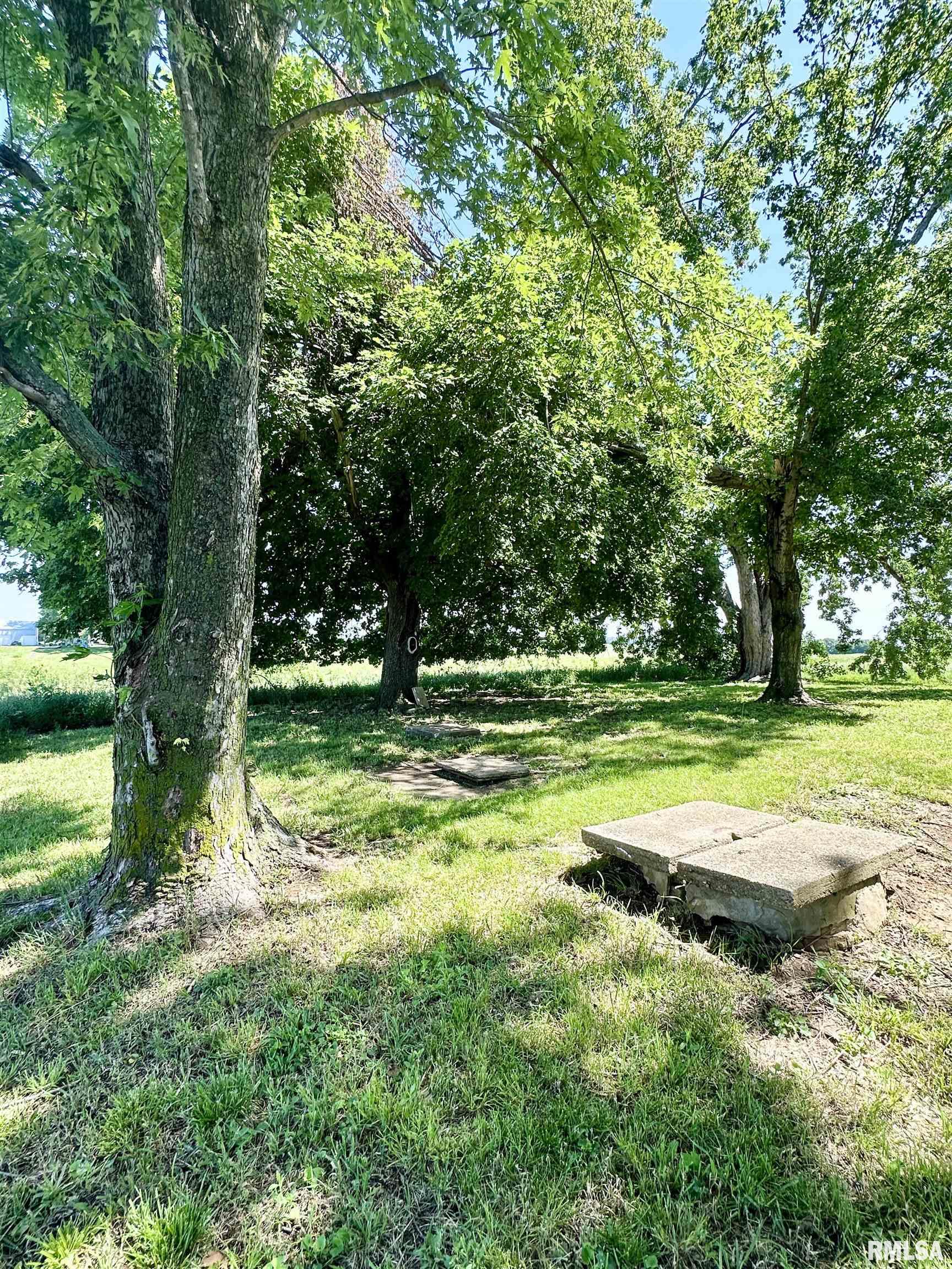 1311 McGlasson Road Jacksonville, IL 62650 - Photo 37 of 38