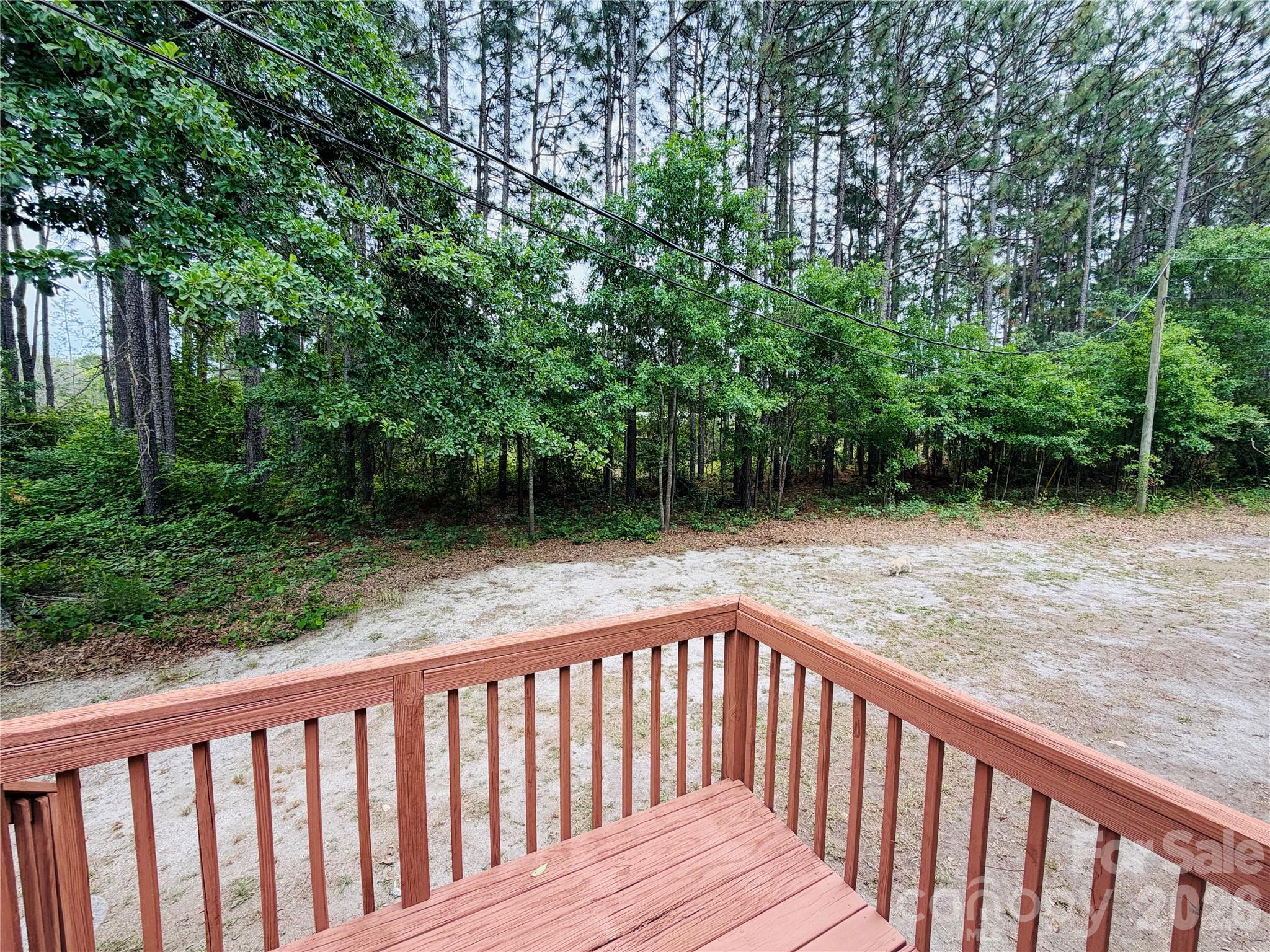 329 Kyzer Road Lexington, SC 29073 - Photo 31 of 34 Gallery Image 31