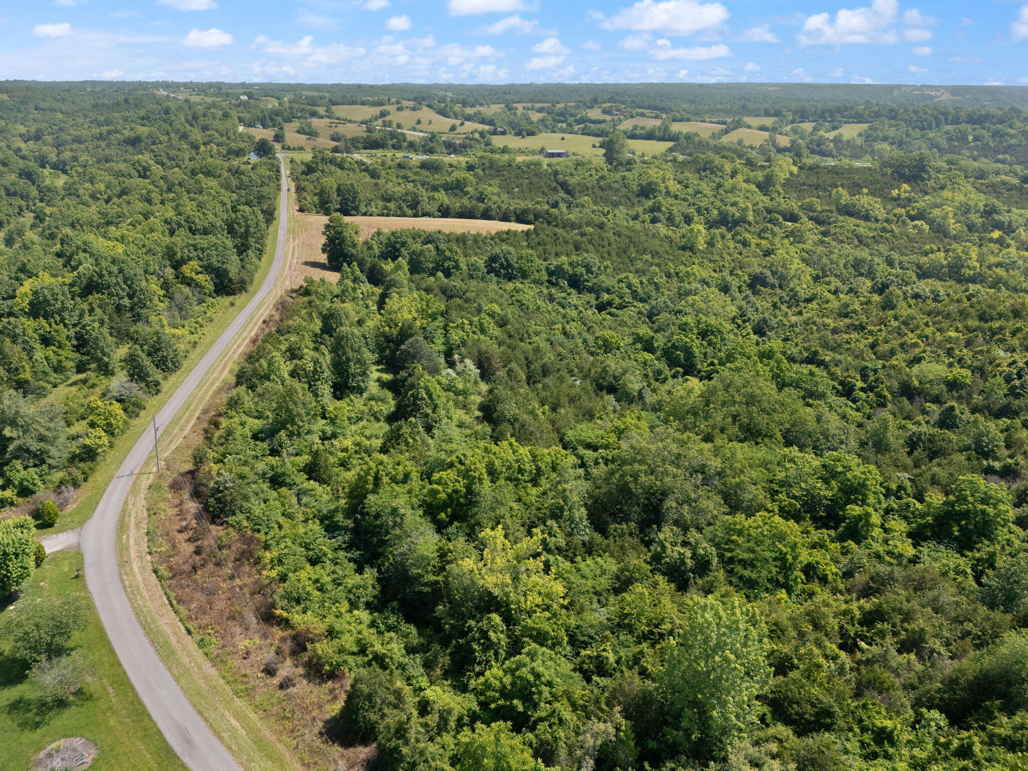 9999 Mann Road Mount Olivet, KY 41064 - Photo 14 of 28 12-web-or-mls-DJI_20250624111011_0361_D