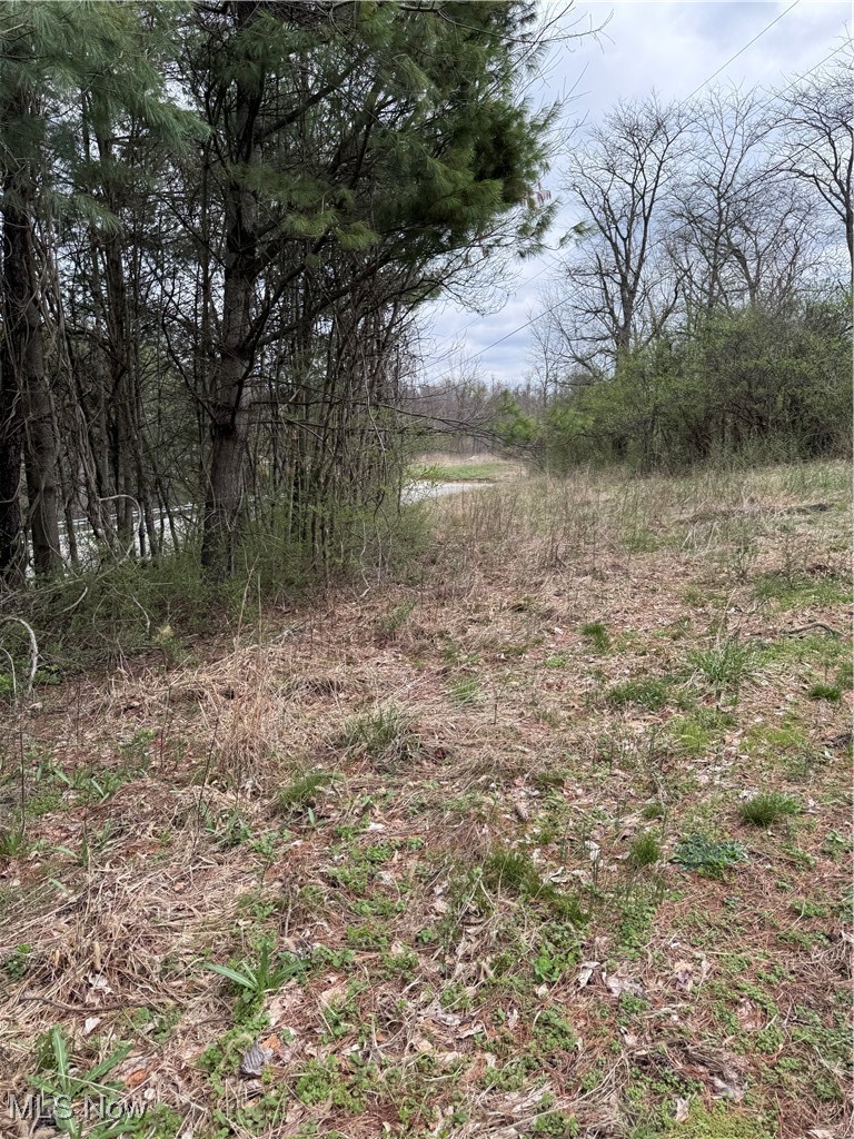 Forest Grove Ridge Road Caldwell, OH 43724 - Photo 11 of 19 View of local wilderness