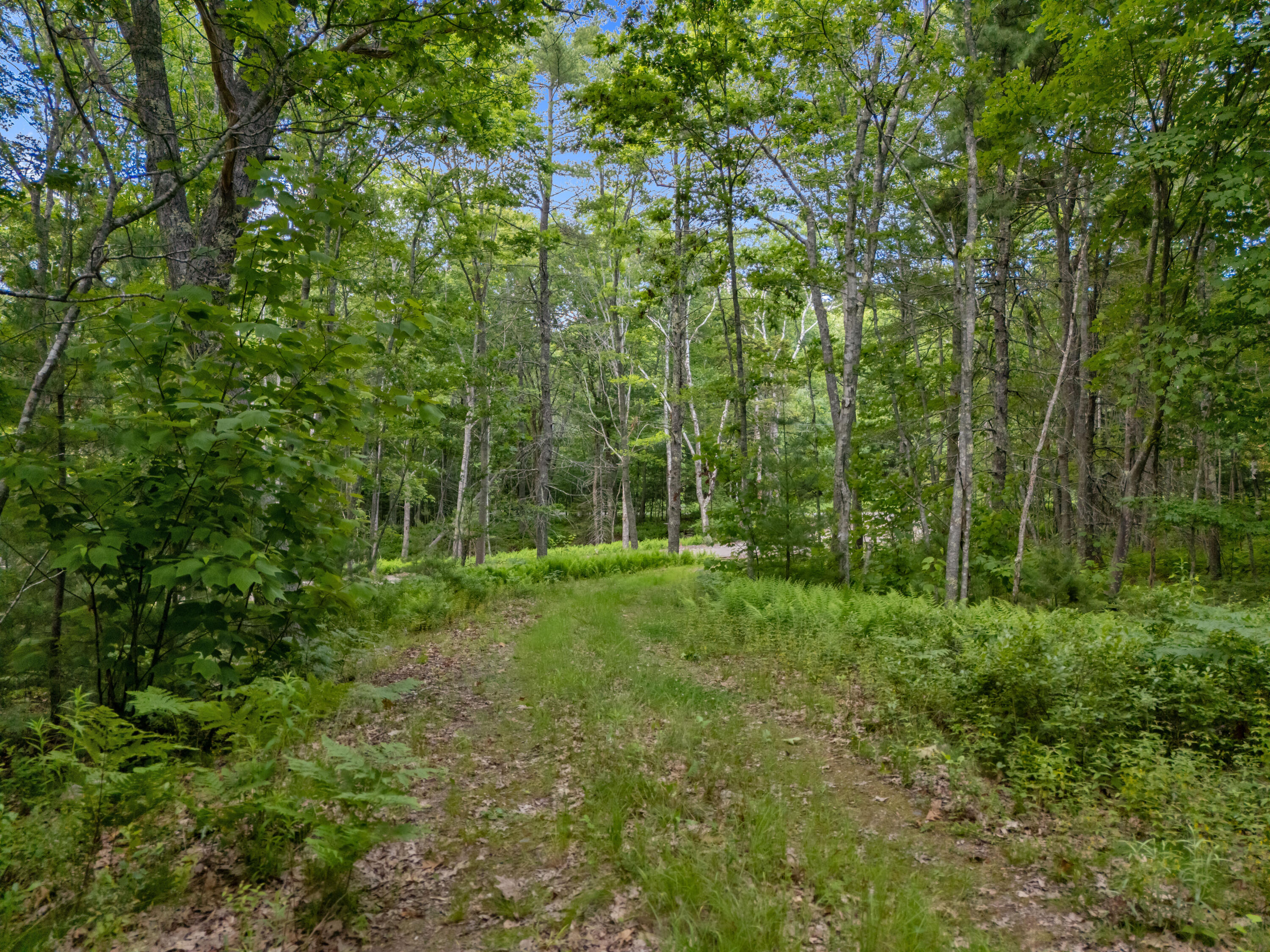 Lot 16 Captain John Parker Road Phippsburg, ME 04562 - Photo 2 of 29 DJI_2026