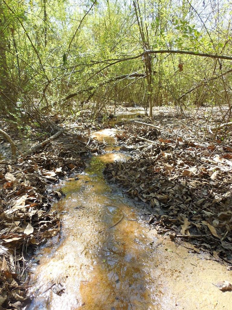 6.5 Acres Dothan Al Dothan, AL 36301 - Photo 1 of 1 Main View