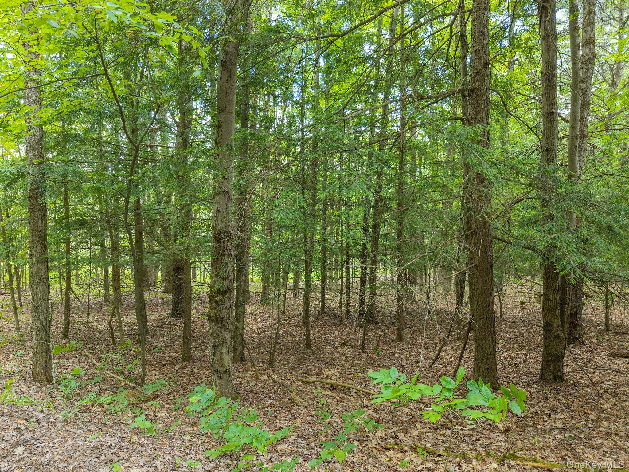 468 Treadlemire Road Berne, NY 12023 - Photo 40 of 44