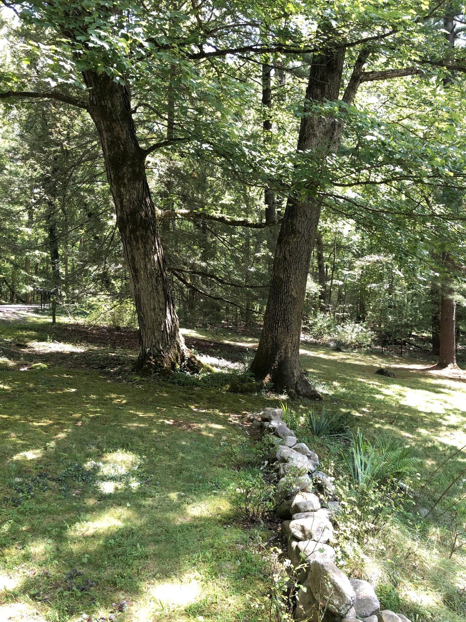181 Kirby Smith Road Sewanee, TN 37375 - Photo 36 of 38 Gallery Image 36