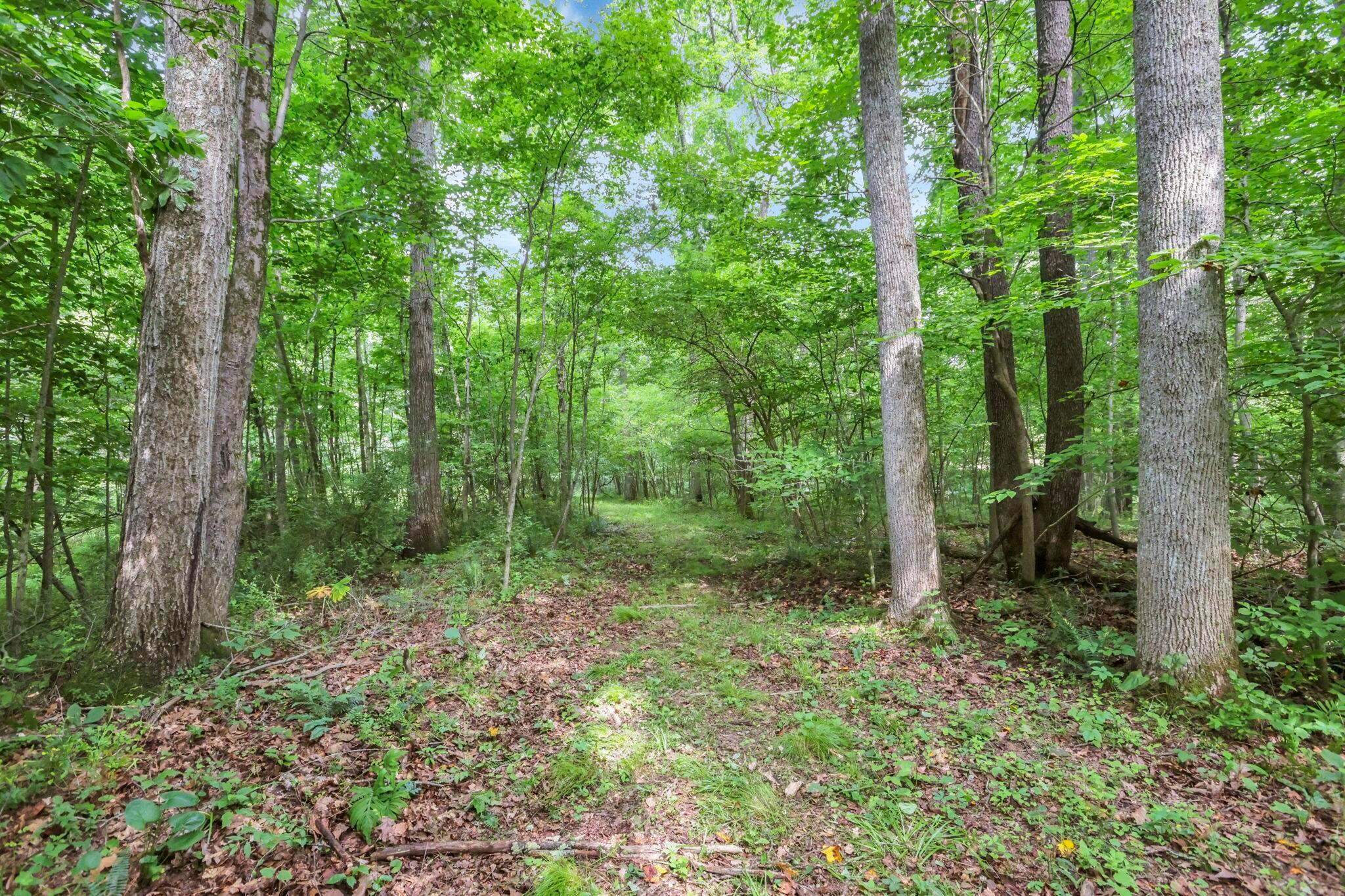 0 Clay Hill Road, Unit LOT 2 Logan, OH 43138 - Photo 6 of 7 LOT 5 WOODS 2