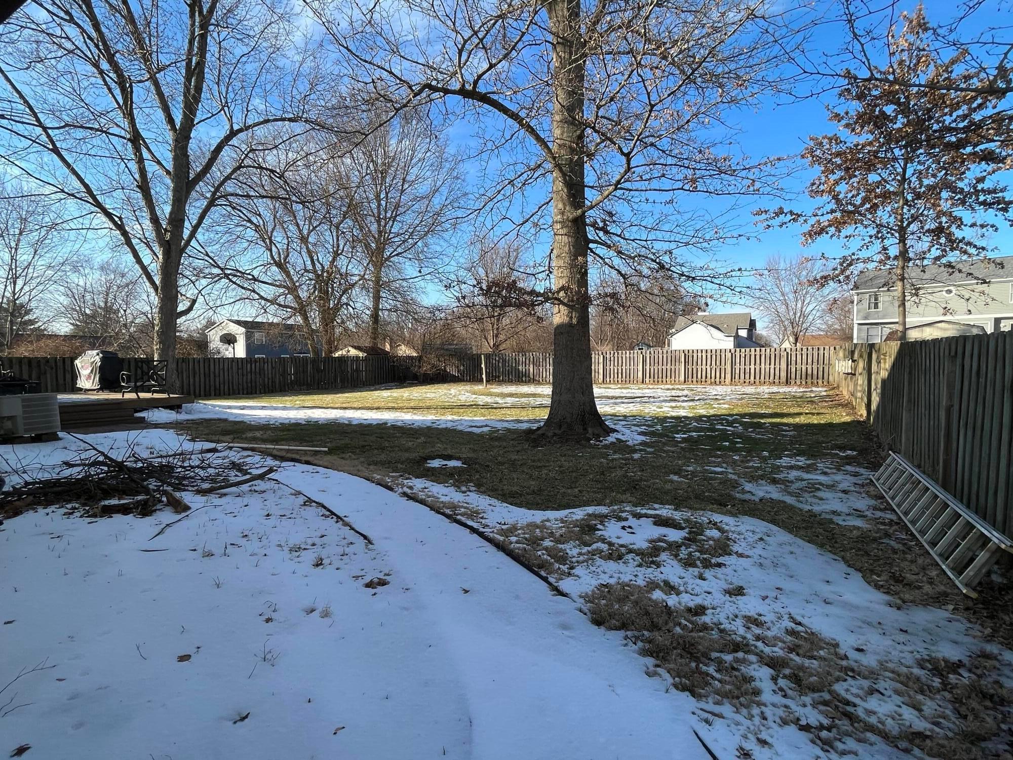 Fenced back yard