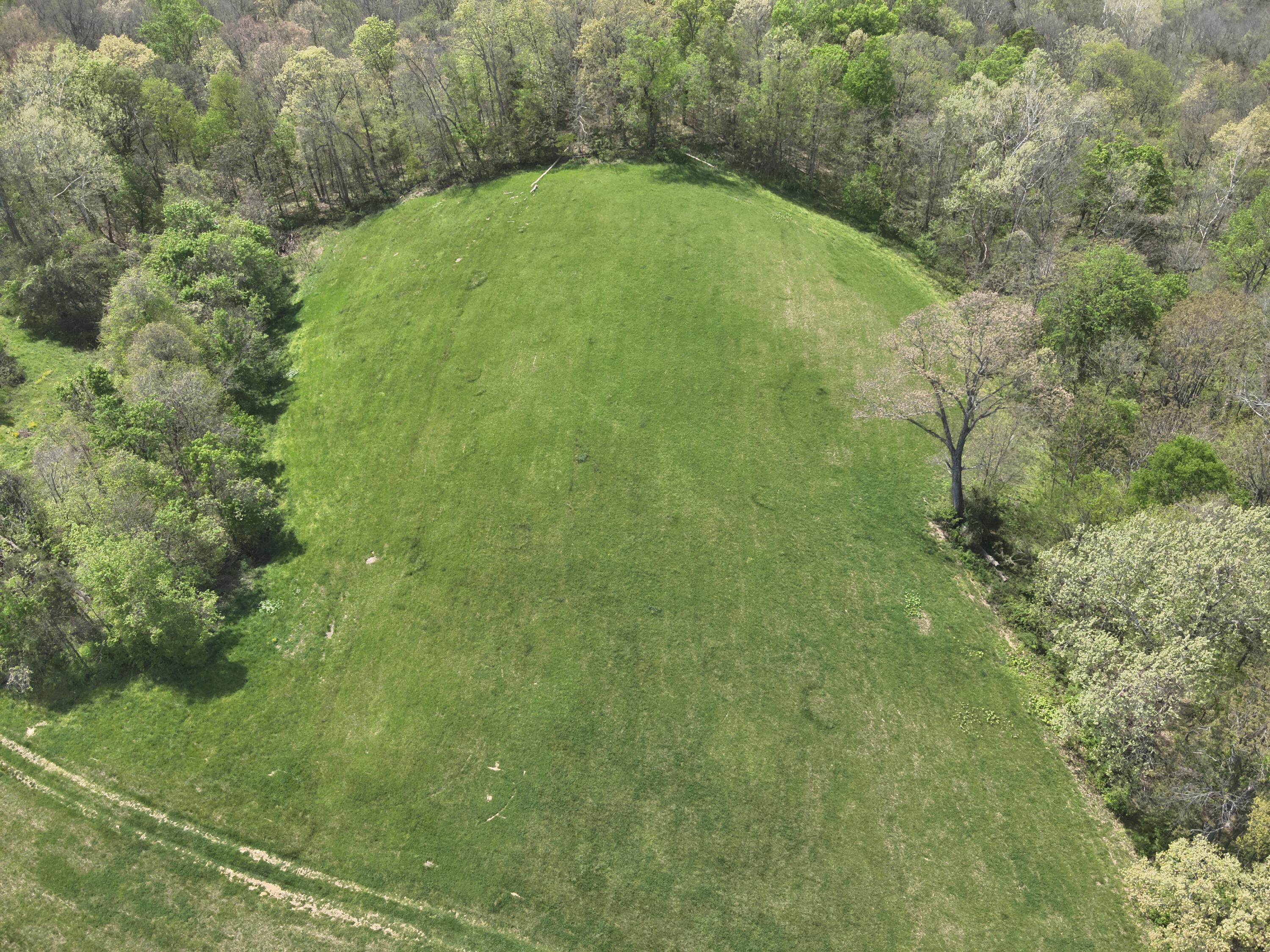 2451 Sardis Road Mount Olivet, KY 41064 - Photo 9 of 42
