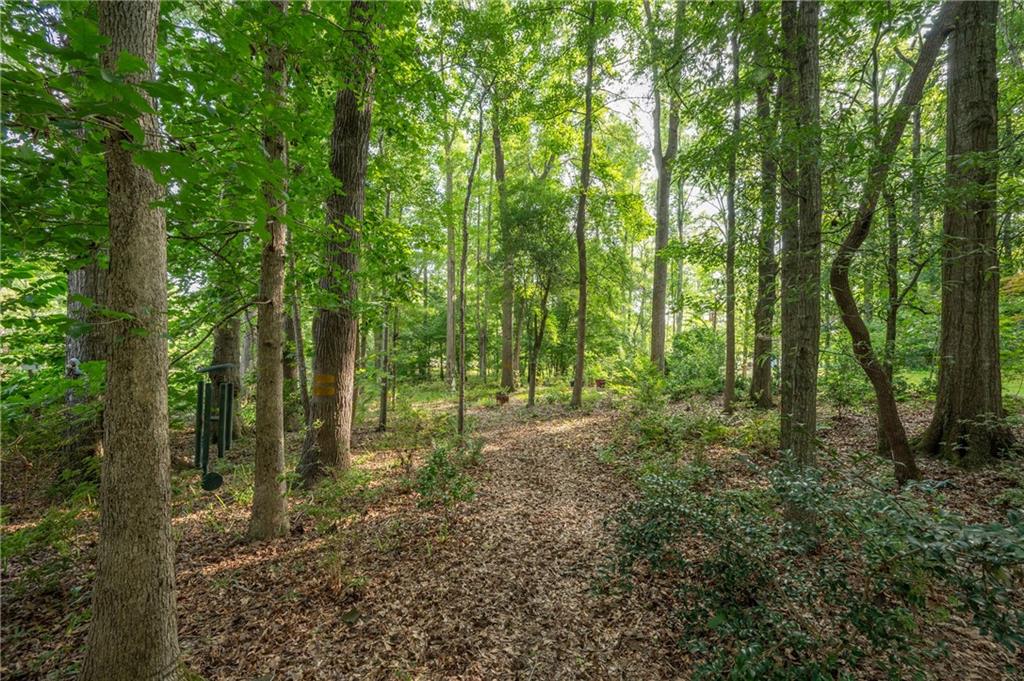 285 Dollar Road Hamilton, GA 31811 - Photo 58 of 65 Gallery Image 58