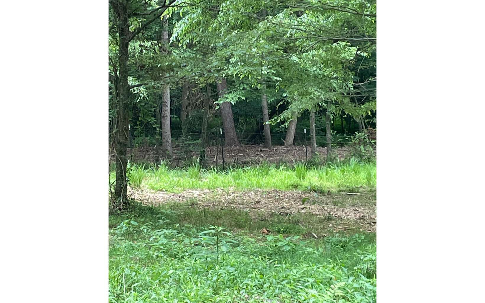 2745 Burnt Mountain Road Ellijay, GA 30536 - Photo 12 of 12 Additional View
